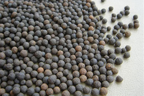 陶粒滤料